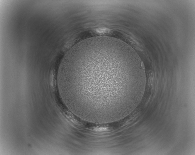 X0000071810651200607072118