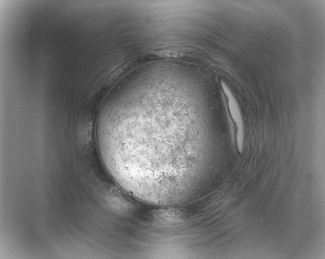 X0000071810652200607072118