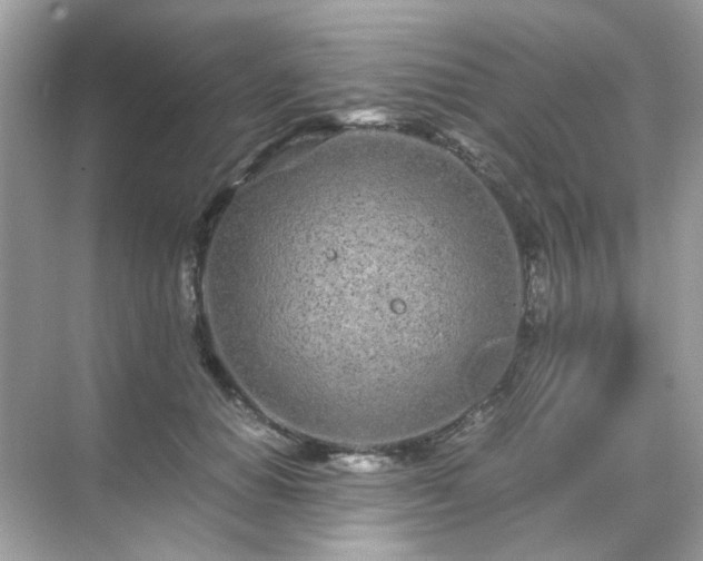 X0000071810654200607072118