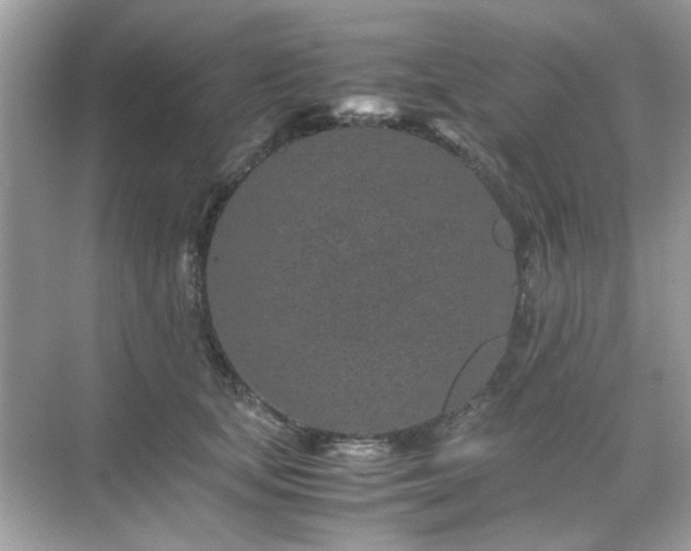 X0000071810659200607072119