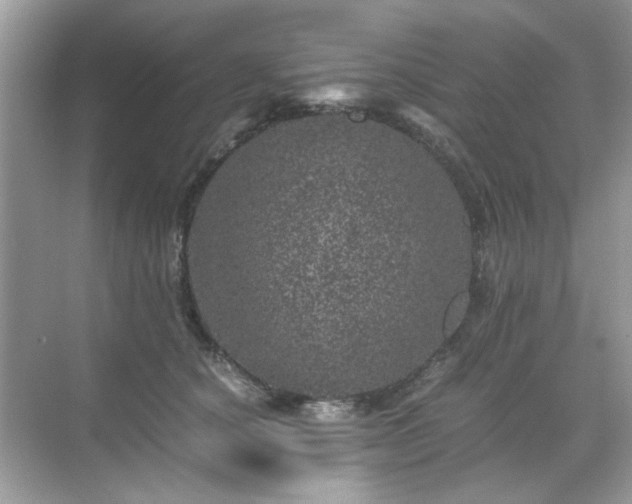 X0000071810660200607072119