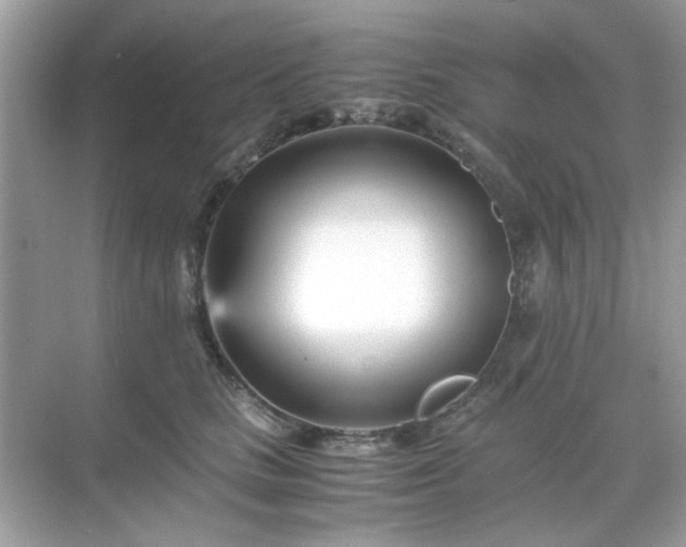 X0000071810661200607072119