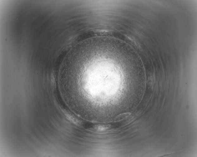 X0000071810662200607072119