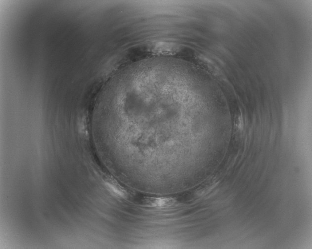 X0000071810663200607072119