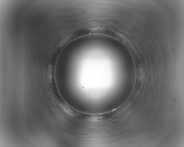 X0000071810664200607072119