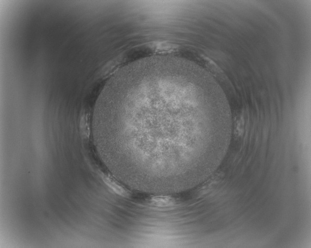 X0000071810666200607072119