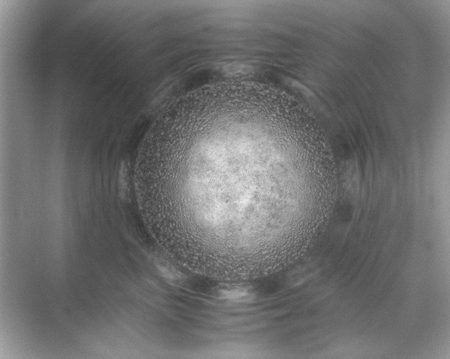 X0000071810667200607072119