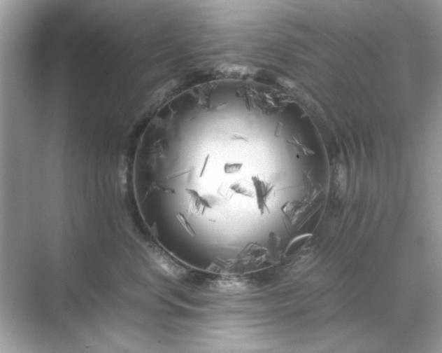 X0000071810668200607072119