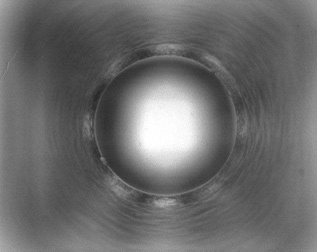 X0000071810669200607072119