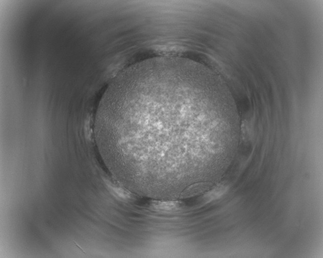 X0000071810671200607072119