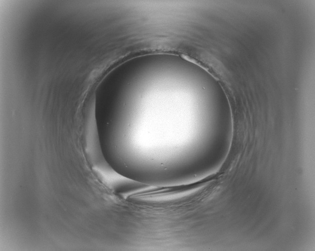 X0000071810673200607072118