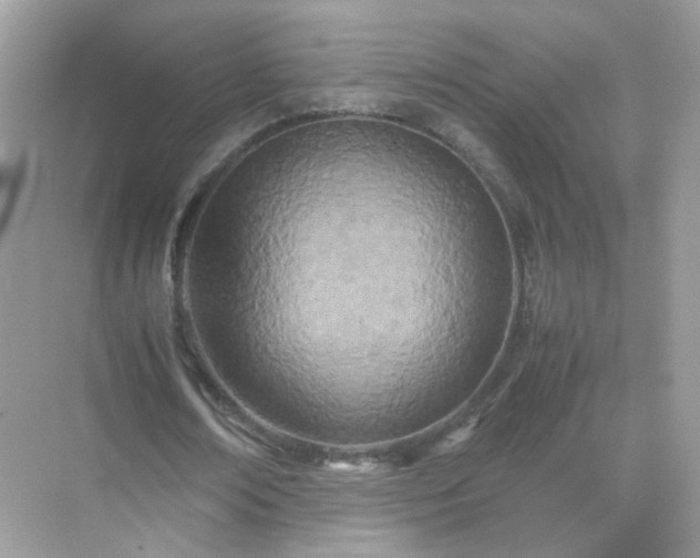 X0000071810674200607072118