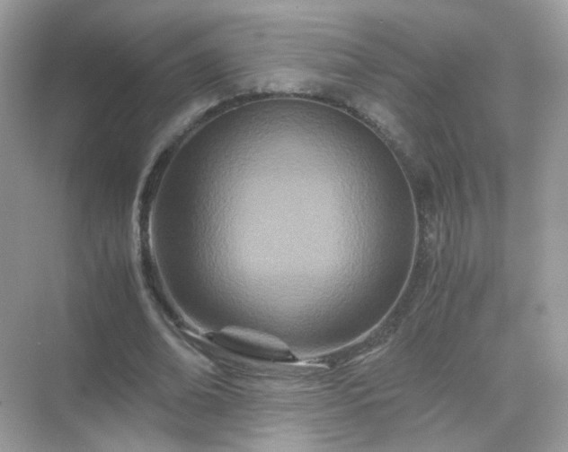 X0000071810678200607072118