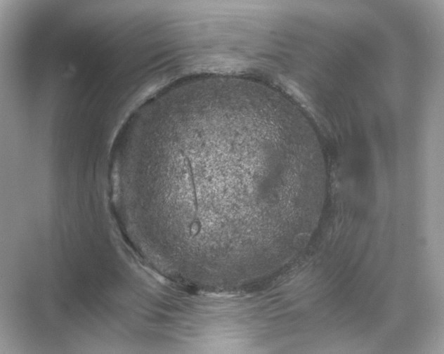 X0000071810679200607072118