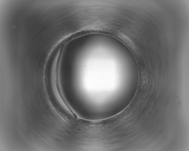 X0000071810680200607072118