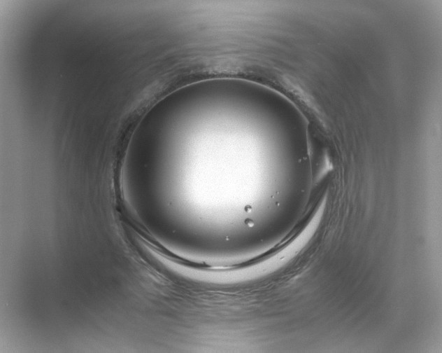 X0000071810681200607072118