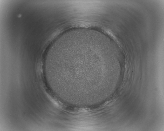 X0000071810683200607072118