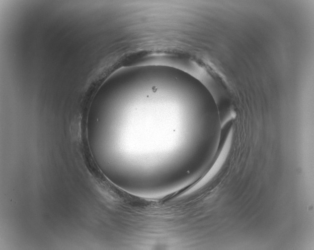 X0000071810685200607072118