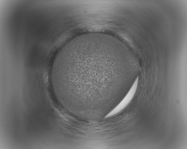 X0000071810687200607072118