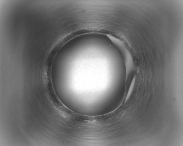 X0000071810688200607072118