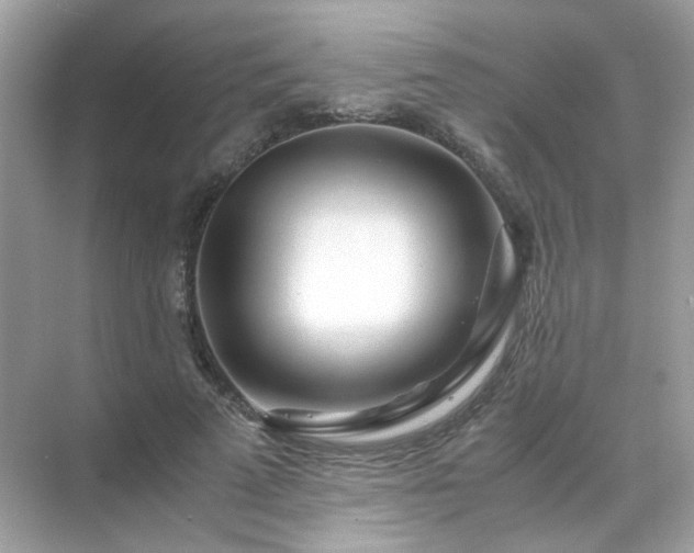 X0000071810689200607072118