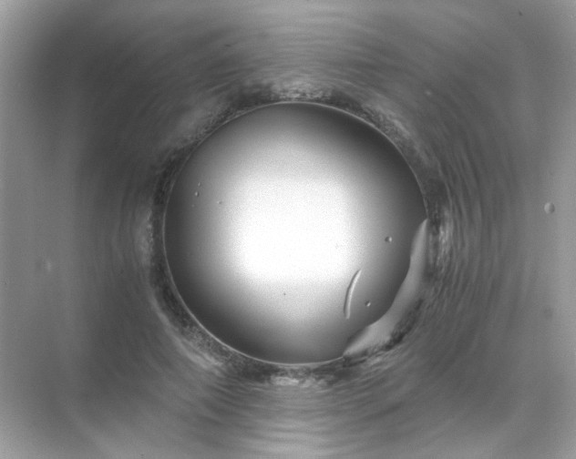 X0000071810690200607072118