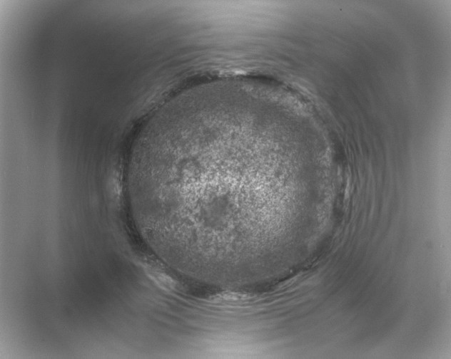 X0000071810691200607072118