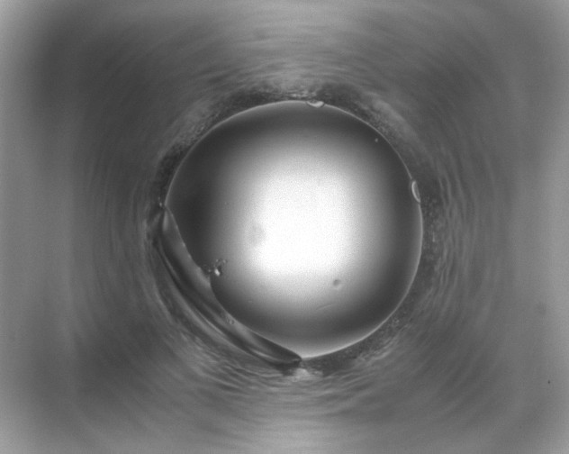 X0000071810693200607072118