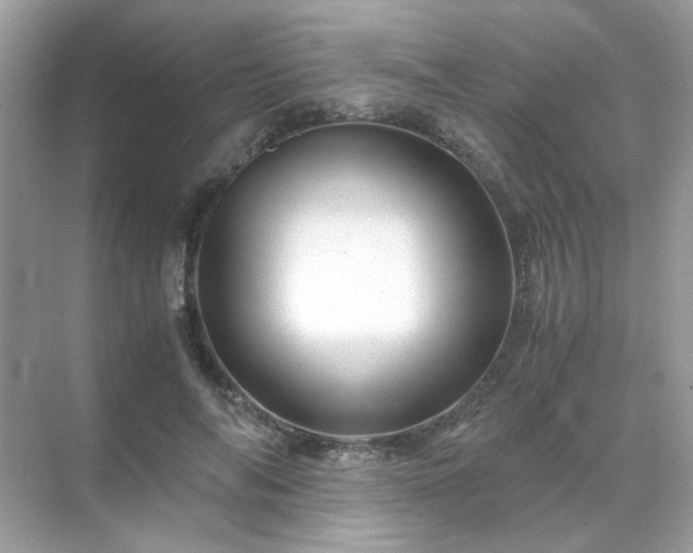 X0000071810694200607072118