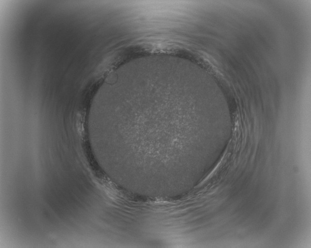 X0000071810695200607072118