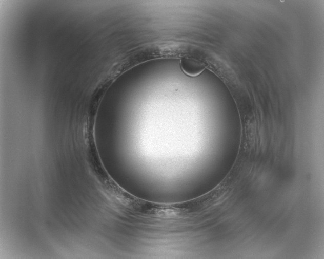 X0000071810698200607072118