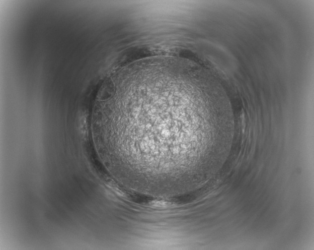 X0000071810699200607072118