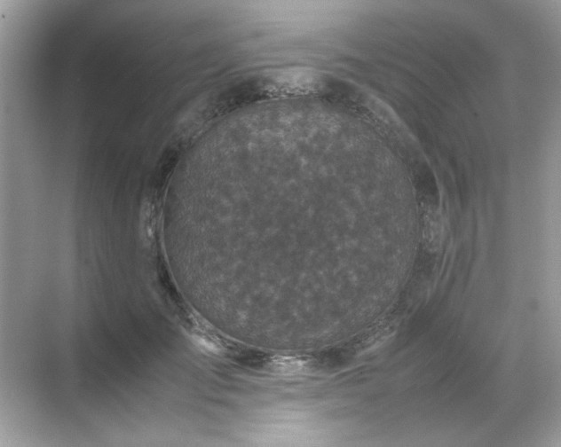 X0000071810701200607072118