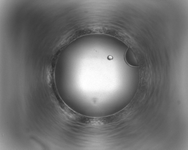 X0000071810702200607072117