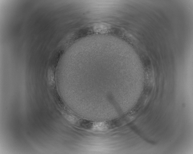 X0000071810705200607072117