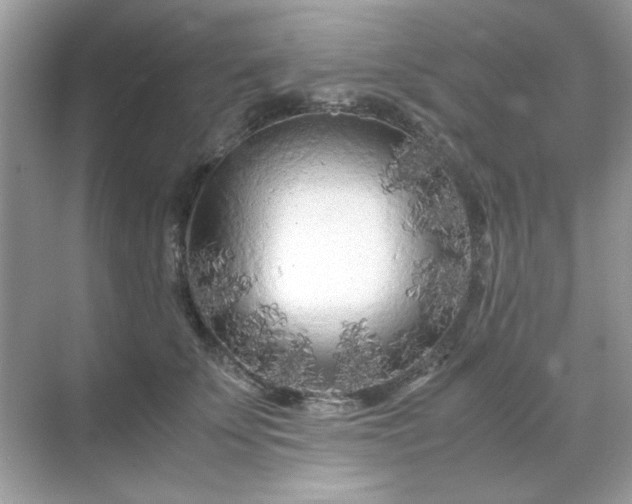 X0000071810707200607072117