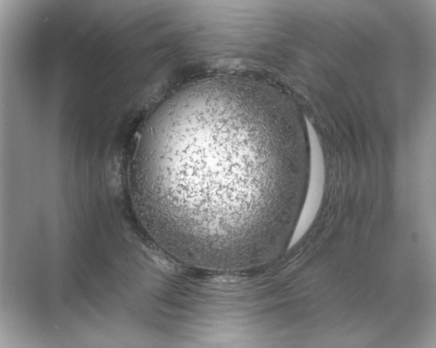 X0000071810708200607072117