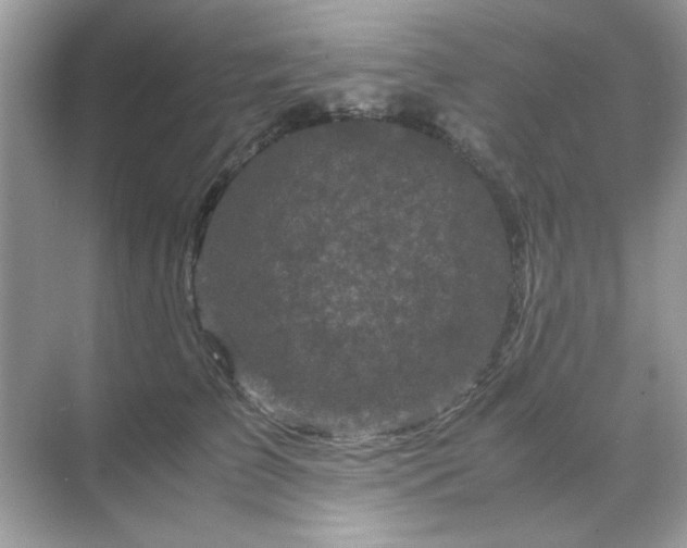 X0000071810709200607072117