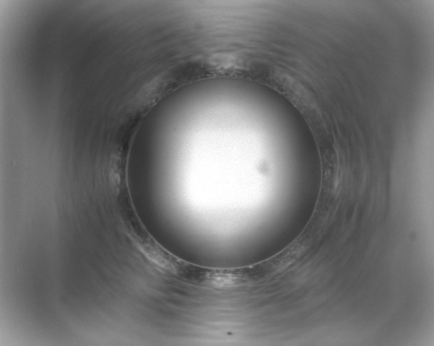 X0000071810710200607072117