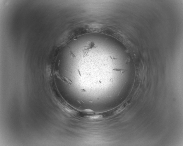 X0000071810711200607072117