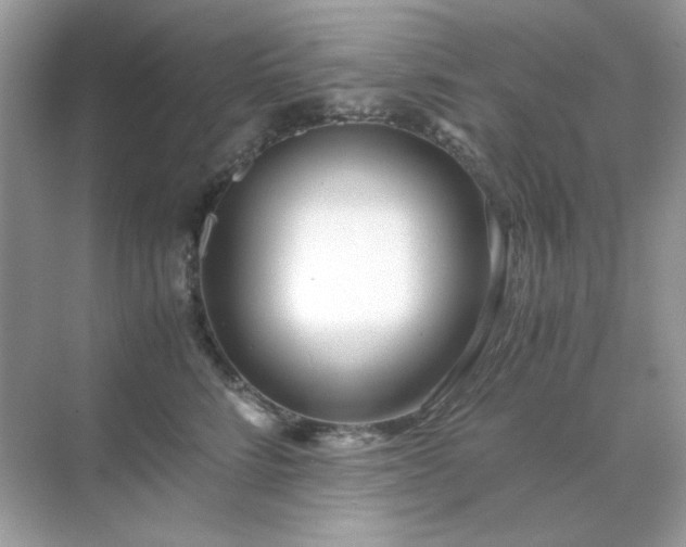 X0000071810712200607072117