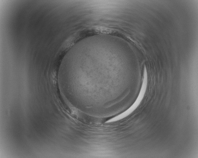 X0000071810713200607072117