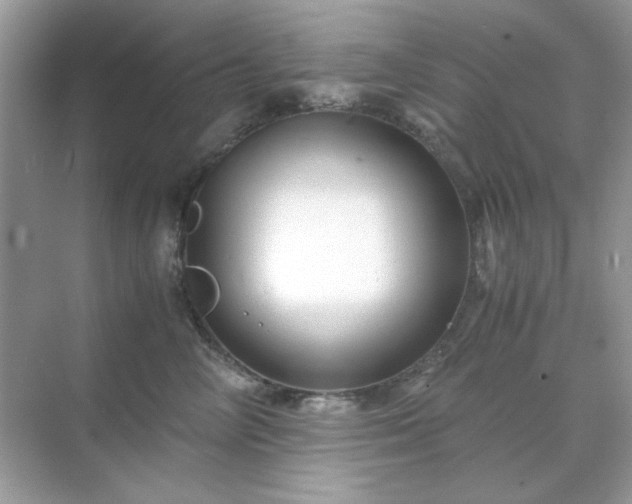 X0000071810714200607072117