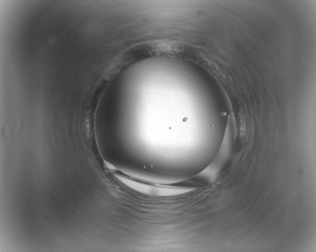 X0000071810715200607072117