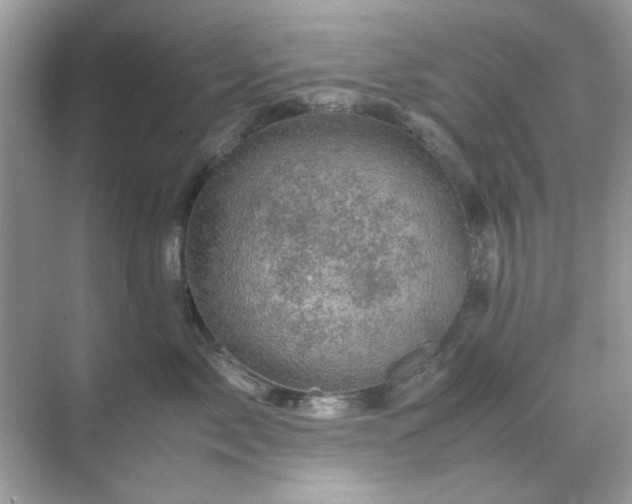 X0000071810717200607072117