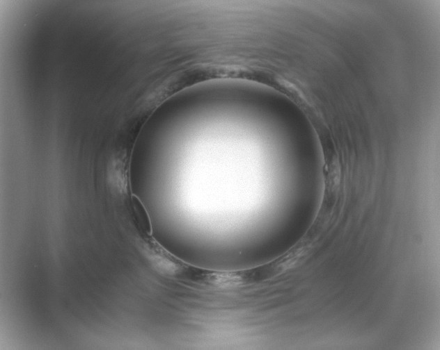 X0000071810719200607072117