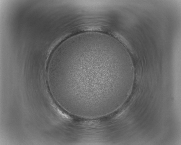 X0000071810721200607072116