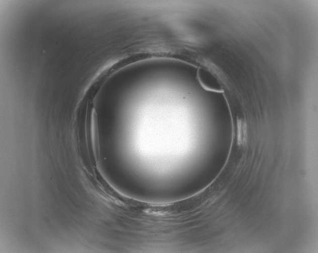 X0000071810723200607072116