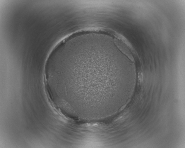 X0000071810724200607072116