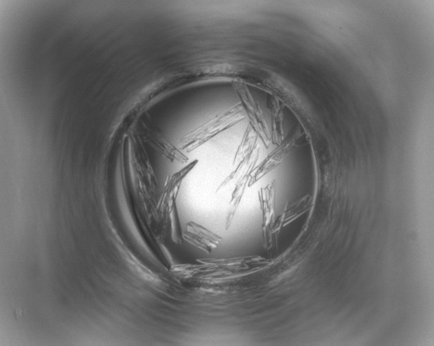 X0000071810725200607072116